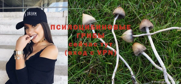 первитин Покачи