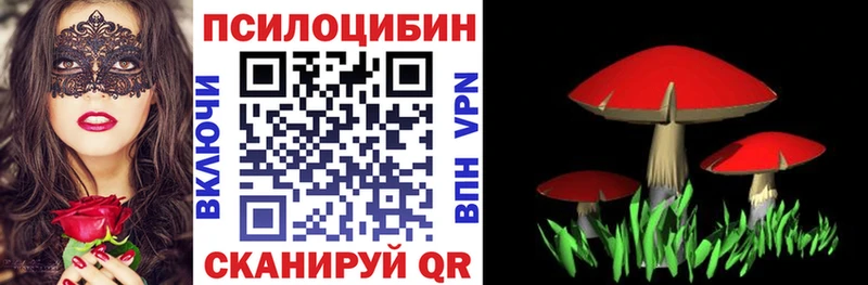 Галлюциногенные грибы Psilocybine cubensis  Боготол 